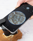 Carson Handmicroscoop MM-350 MicroBrite Plus 60-120x met Smartphone Adapter