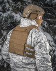 Plate carrier Cuirass QRS