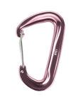 Carabiner Type 4