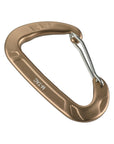 Carabiner Type 2