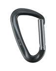 Carabiner Type 1