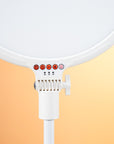 Falcon Eyes Bi-Color LED Lamp Sophiez SO-28TD III