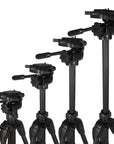 Nest Statief + Kop WT-3730 H152 cm
