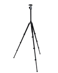 Nest Statief WF-6627 + Balhoofd