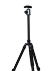 Nest Statief WF-6627 + Balhoofd