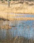 Stealth Gear Schuiltent Square Hide Riet Plus