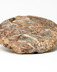 Stealth Gear Schuiltent Square Hide Riet Plus