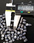 airgun-slugs-nielsen-5.5-mm-hpdb-20.2-grain-_.2175_-_3_.jpg