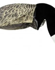 decoy-sillosocks-canada-goose-foraging-_ph_.jpg