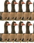 decoy-sillosocks-flocksox-pink-foot--grey-lag-goose-standing-12-pack-_1_.jpg
