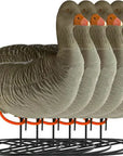 decoy_greylag_goose_flocked_resting_6-pack_1.jpg