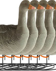 decoy_greylag_goose_flocked_standing_6-pack_1.jpg