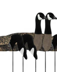 decoy_sillosocks_2d3d_canada_goose_harvester_6-pack_1_.jpg