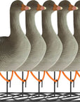 decoy_white-fronted_goose_flocked_standing_6-pack_1.jpg