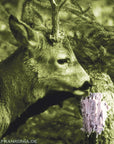 frankonia_p119874_d3.jpg
