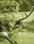 frankonia_p124708_d2.jpg