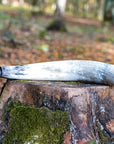 frankonia_p141901_d10_v1.jpg