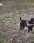 frankonia_p2003637_d15.jpg