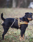 frankonia_p2003637_d3.jpg