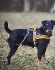 frankonia_p2003637_d5.jpg