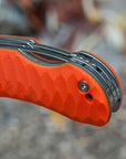 frankonia_p2005609_d14_v1.jpg