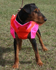 frankonia_p2006299_d9_v1.jpg