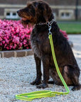 frankonia_p2010677_d6_v1.jpg