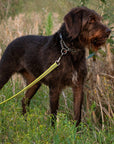 frankonia_p2010741_d8.jpg