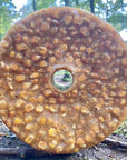 frankonia_p2012085_d9.jpg