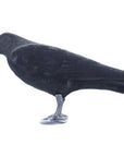 frankonia_p2021341_ha_v1.jpg