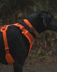 frankonia_p2028337_d5.jpg