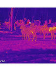 hikmicro_lynx_3.0_lq35l_thermal_imaging_camera_10_.jpg