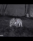 hikmicro_neos_ne25_thermal_imaging_rifle_scope_9_.jpg