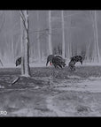 hikmicro_neos_nh35l_thermal_imaging_rifle_scope_21_.jpg