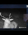hqdefault_86_1.jpg