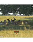 multispectral_binoculars_hikmicro_habrok_pro_hq50ln_940_nm_12_.jpg