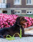 p2010677_d7_v1.jpg&width=1200&height=1200&effects=pad(CC,ffff)&quality=40