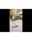 DL8FUdr9U92r1pbDuwTo7p.jpeg&width=1200&height=1200&effects=pad(CC,ffff)&quality=40
