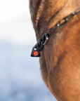 p2020577_d11.jpg&width=1200&height=1200&effects=pad(CC,ffff)&quality=40