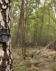 wildlife_camera_hikmicro_t16_14_.jpg