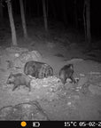wildlife_camera_hikmicro_t16_15_.jpg