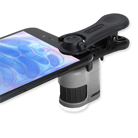 Carson Zakmicroscoop MM-380 MicroMini 20x met Smartphone Adapter