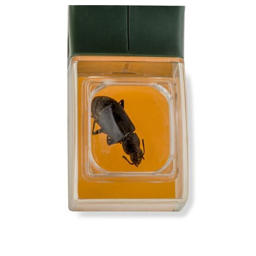 Carson Bugview Vergrootglas met één-hands insectenvanger
