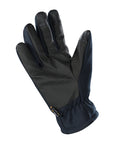 Gloves Soft Shell Thinsulate
