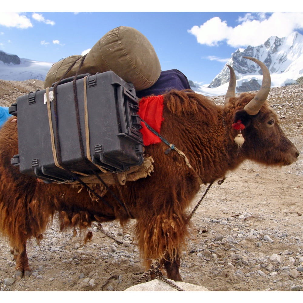 Explorer Cases 2712HL Koffer Zwart met Plukschuim