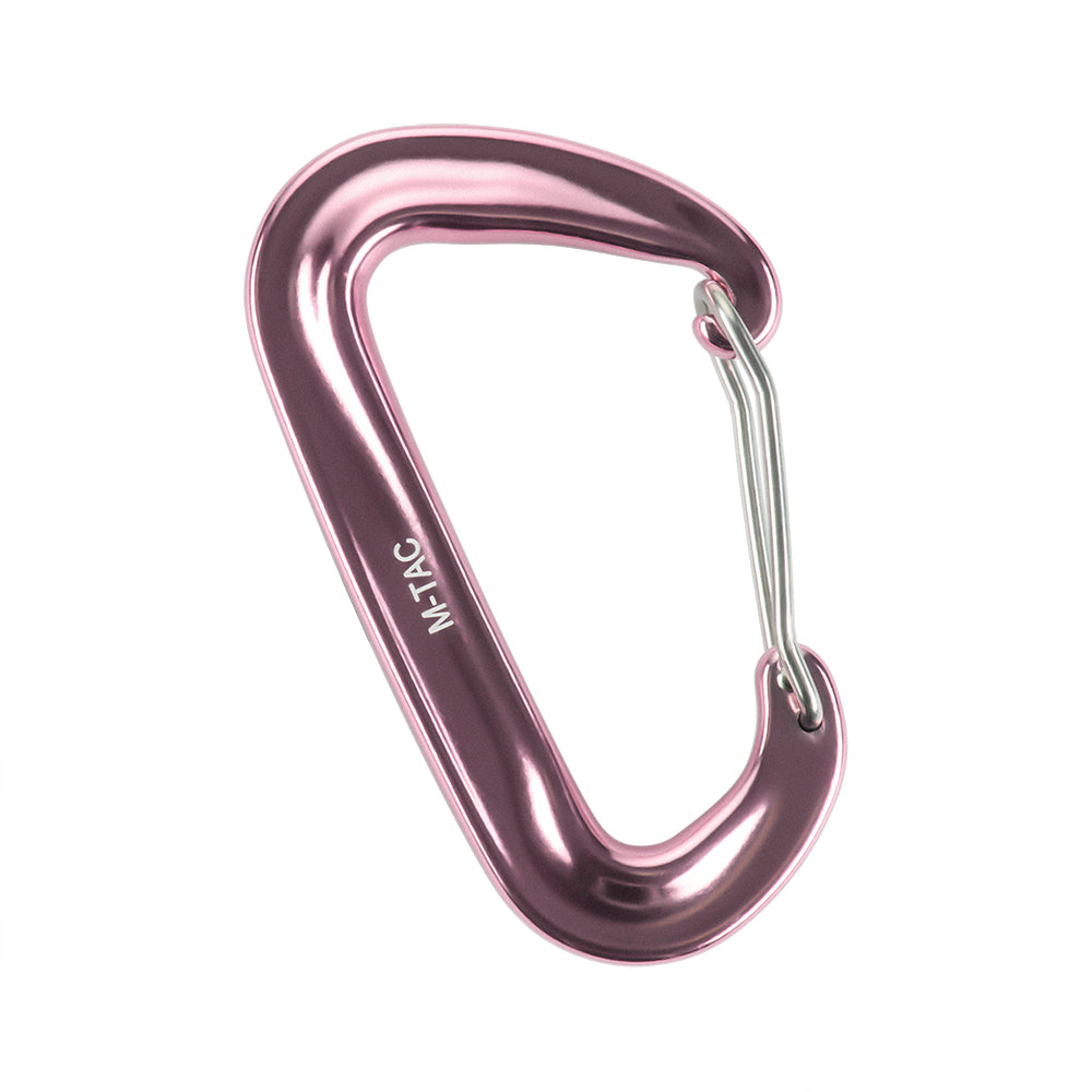Carabiner Type 4