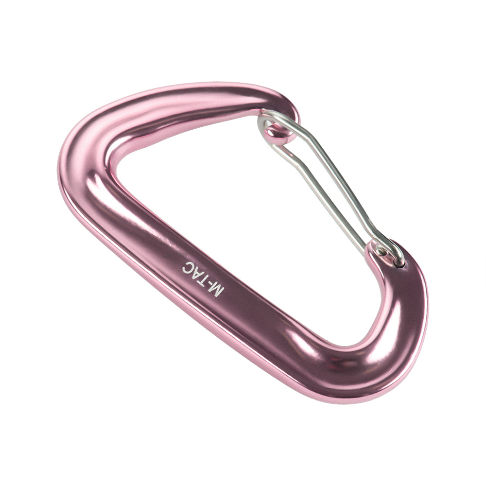 Carabiner Type 4