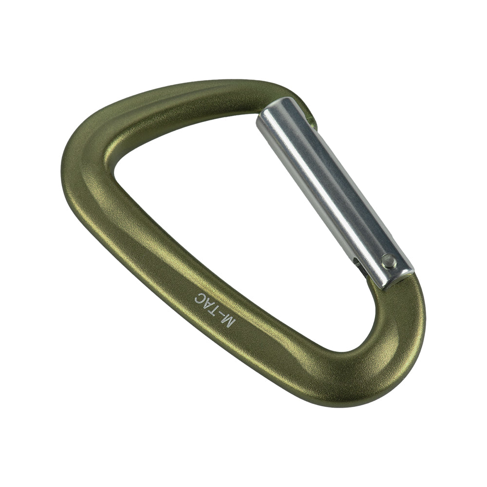 Carabiner Type 1