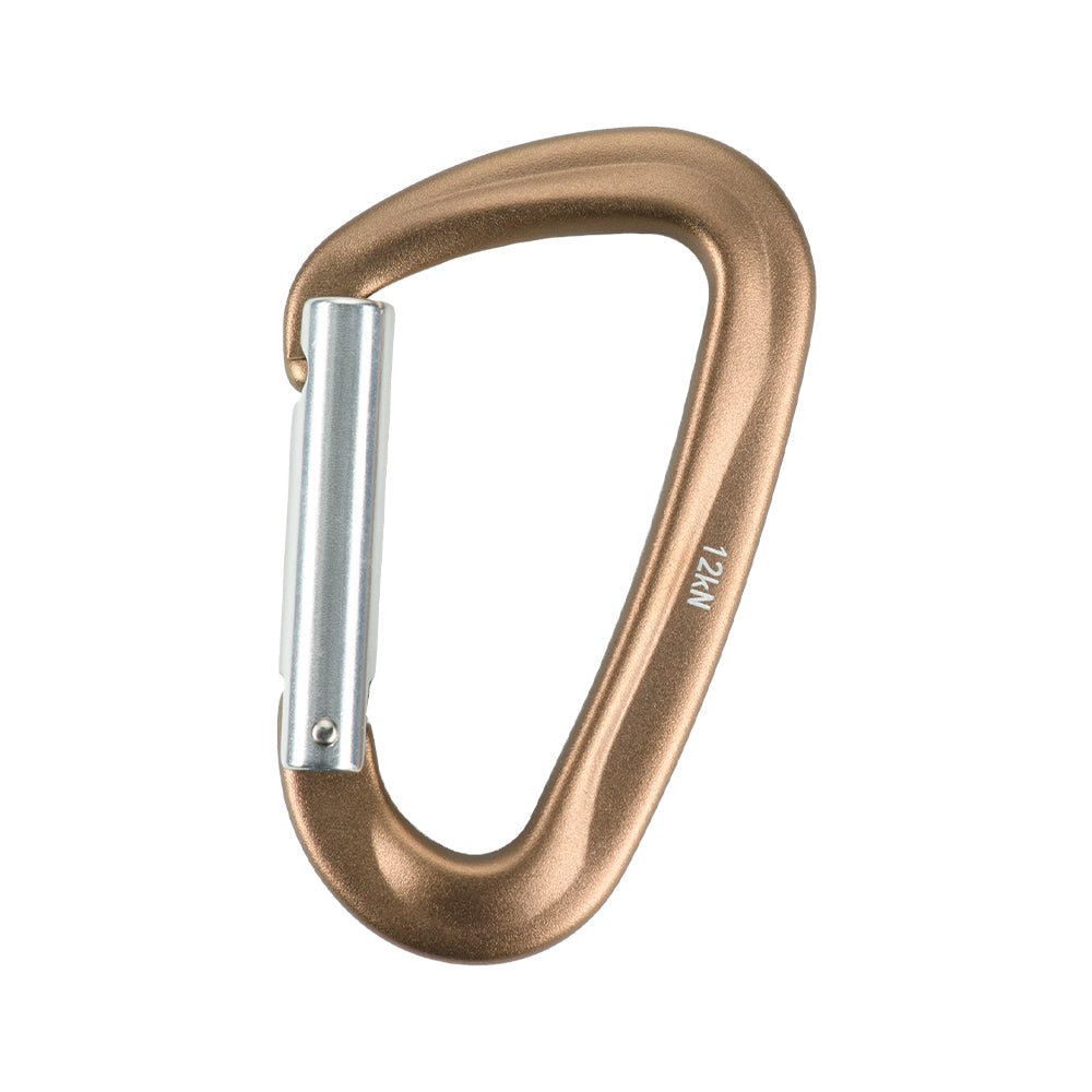Carabiner Type 1