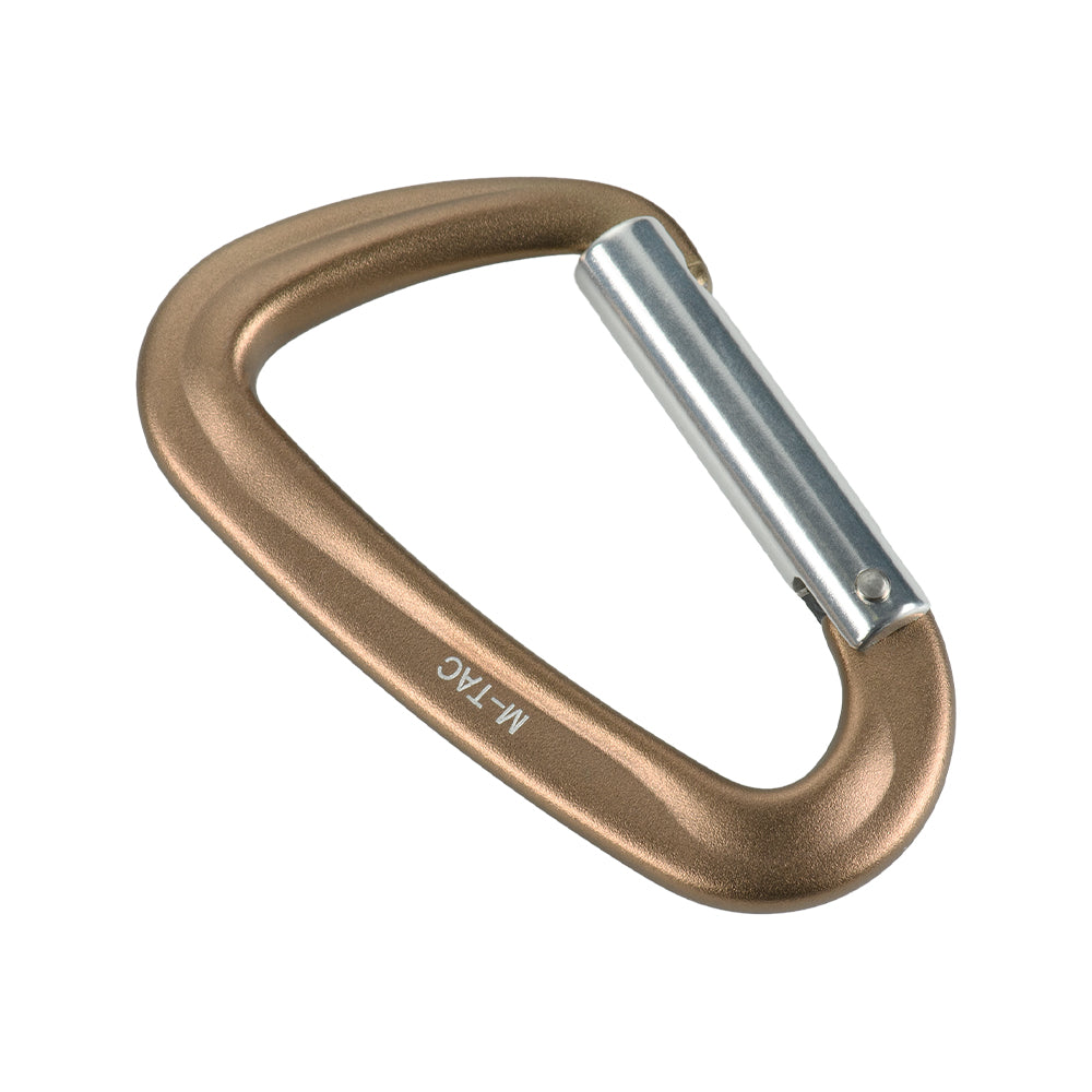 Carabiner Type 1